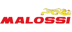 Malossi
