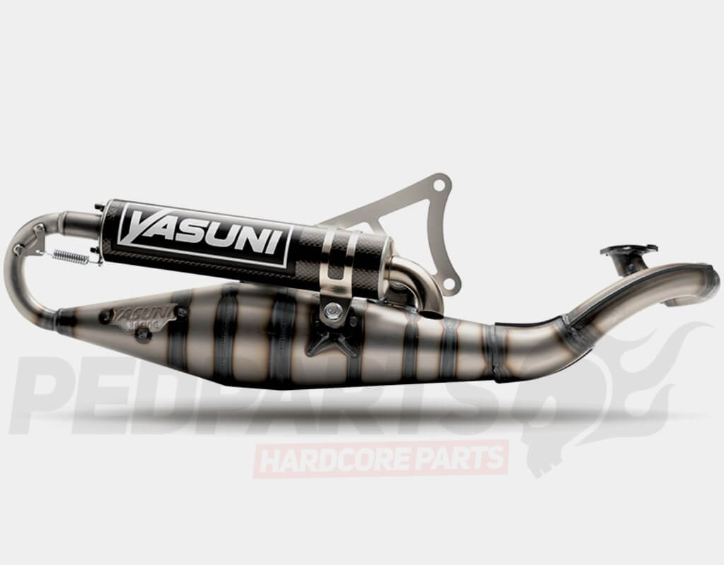 Polini Original ABE Certified Sport Exhaust For Yamaha Aerox 50 Cat And MBK Flip