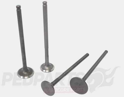 Inlet & Exhaust Valves- Honda Forza, SH, PCX 125cc