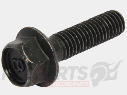 M8x30mm Bolt- Yamaha Aerox/ BWS 50/100cc