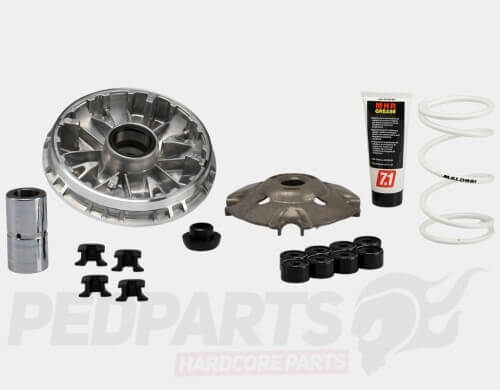Malossi Variator Kit- Honda Forza/ SH350