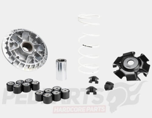 Malossi Variator Kit- Honda PCX 2021