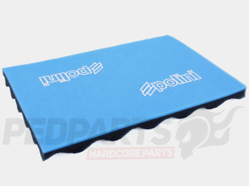 Polini Filter Element - Universal