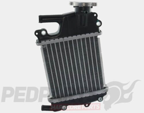 Radiator- Honda PCX 2010-14