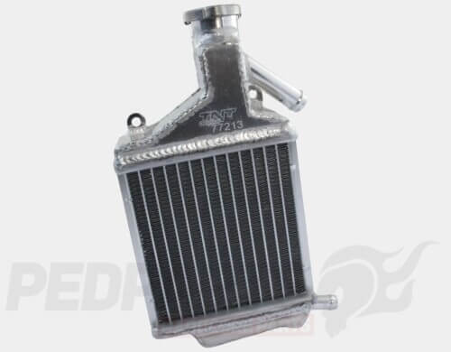 Radiator- Honda PCX/ SH125 21-25