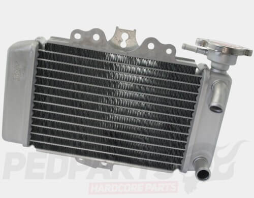 Radiator- Honda SH125 05-12