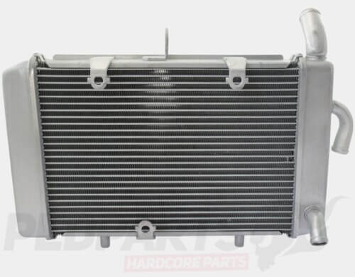 Radiator- Yamaha XMAX 125/300cc