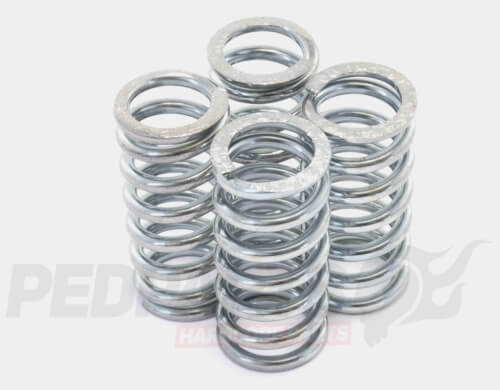 Stage6 R/T Clutch Springs- AM6
