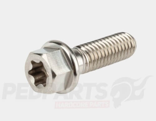 Stage6 R/T Titanium Screws- M6