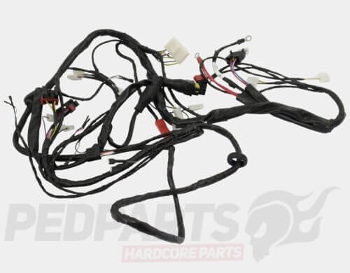 TNT Wiring Loom- Piaggio Zip 50cc 2-Stroke A/C