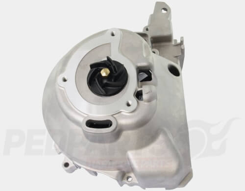 Water Pump/ Flywheel Cover- Piaggio 125-200cc 4-Stroke