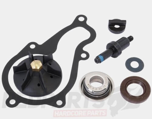 Water Pump Repair Kit- Piaggio 350cc