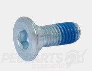 Brake Disc Bolt- NMAX/ X-MAX