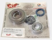 CIF Viton Bearing & Seal Set- Vespa PX