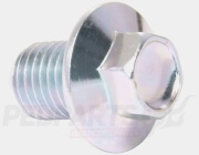 Engine Oil Drain Bolt & Washer- Yamaha Vity 1...