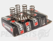 Ferodo Clutch Spring Set- Derbi