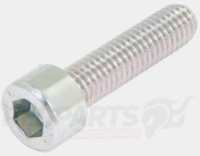 Flywheel/ Variator Cover Screws- Yamaha/ Mina...