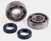 Jasil Standard Bearing & Seal Kit - Ludix/ Se...