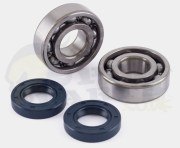 Jasil Standard Bearing & Seal Kit - Derbi EBE...