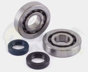 Jasil Standard Bearing & Seal Kit - Piaggio 50cc