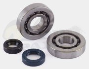 Jasil Standard Bearing & Seal Kit - Speedfigh...