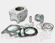 Malossi 282cc Cylinder Kit- Vespa GTS HPE 300...