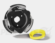 Malossi Maxi Delta Clutch- Honda Forza 125cc