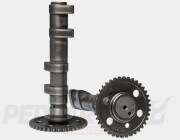 Malossi Power Cam Camshaft Set- Yamaha TMAX