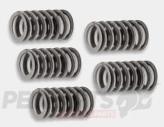 Malossi Reinforced Clutch Springs- Derbi Send...