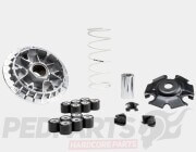 Malossi Variator Kit- Honda Forza/ SHi Euro5