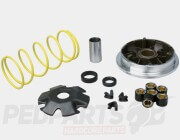Malossi Variator Kit- Suzuki Katana 50cc