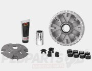 Malossi Variator Kit- Yamaha X-MAX 300 Euro4/5