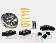 Malossi Variator Kit - Vespa GTS 125cc Euro4/5
