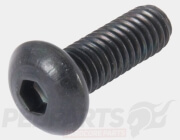 Master Cylinder Cover Allen Screw- M4x12mm