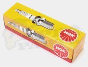 NGK Spark Plugs