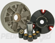 Naraku Sport Variator Kit- Peugeot/ Honda 50cc