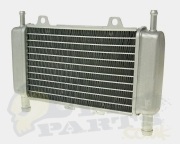 Piaggio Radiator, Runner, DNA 50, Zip SP