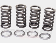 Polini Clutch Spring Set- Minarelli AM6