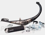 Polini For Race Exhaust- AM6