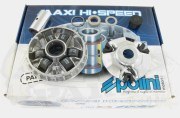 Polini Variator Kit- Runner/Typhoon 125cc 2T