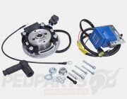 Polini Inner Rotor Kit- AM6
