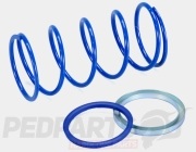 Polini Torque Springs/ Evo Slider - Minarelli...