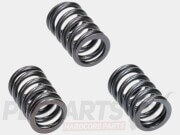 Polini Valve Spring Set- Piaggio/ Vespa Euro5...