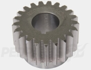 Primary Drive Gear- Derbi D50B0