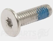 RB Max Brake Disc Torx Bolt- Piaggio/ Vespa