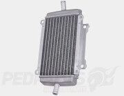 Radiator- Vespa GT/ GTS/ GTV 125-310cc