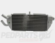Radiator- Yamaha XMAX 125cc 06-09