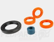Stage6 Engine Oil Seal Set- Piaggio 50cc