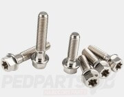 Stage6 R/T Titanium Screw Set- Aerox Gearbox Cover