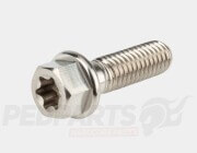 Stage6 R/T Titanium Screws- M6